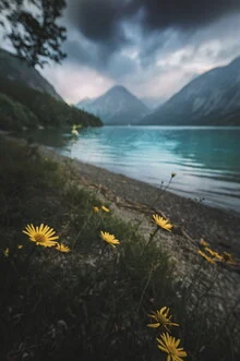 Photo art by Lukas Litt: flowers under a cloudy sky with approaching rain