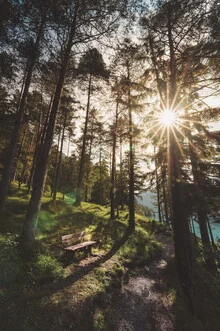 Calming photo art by Lukas Litt: walk in warm sunlight