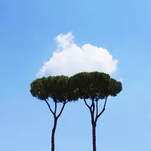Fotokunst von Rupert Höller: zwei Brüder unter sanften Wolken in Italien