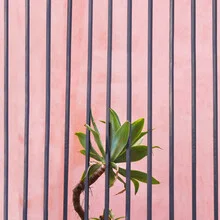 Photo art by Rupert Höller: summer scene featuring a salmon-colored grid pattern