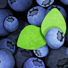 Katherine Blower, Blueberries