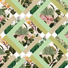 Bianca Green, Cubed Vintage Botanicals