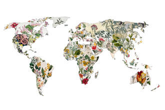 Bianca Green, Vintage Botanical World