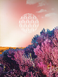 Marko Köppe, atmosphere · the other side