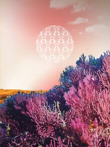 Wall art by Marko Köppe: surreal collage with dreamlike elements