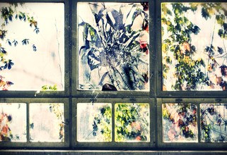 Andrina Peric, Broken - Croatia, Europe)
