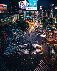 Dimitri Luft, Shibuya crossing (Japan, Asia)