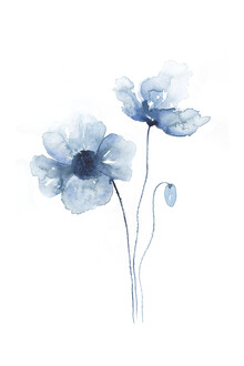 Cristina Chivu, Blue Poppies No. 2 - Großbritannien, Europa)