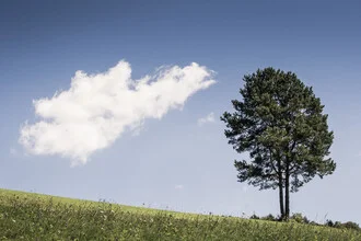Photo art by Bernd Grosseck: a cloud and a tree in summer