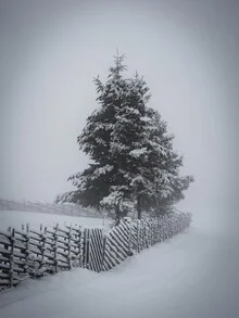 Photo art by Bernd Grosseck: serene winter landscape with snow-covered tree
