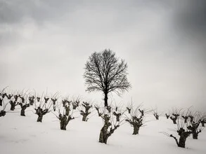 Photo art by Bernd Grosseck: winter landscape with gentle snow hills and a cold atmosphere