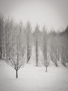 Bernd Grosseck, Winteratmosphäre II