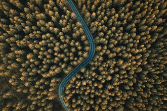 Photo art by Lina Jakobi: curvy road through gentle landscapes