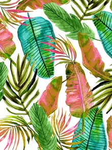 Illustration featuring colorful leaves and palms, evoking a tropical garden vibe.