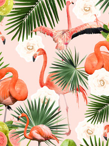 Uma Gokhale, Flamingo Guava