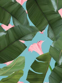 Wall art by Uma Gokhale: colorful flower illustration with a tropical vibe