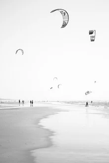 Kitesurfing at sunset on the beach in the Netherlands