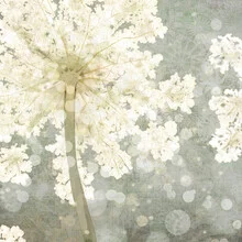 Illustration by Katherine Blower: delicate cow slip flowers in soft colors