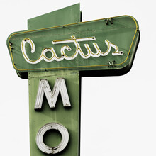 Vera Mladenovic, Cactus (United States, North America)