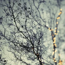 Fotokunst von Vera Mladenovic: festliche Lichter in sanfter Winteratmosphäre