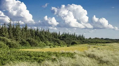 Photo art by Valentin Pfeifhofer: peaceful meadows and forests under a blue sky