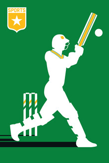 Bo Lundberg, Cricket