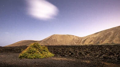 Fotokunst von Valentin Pfeifhofer: minimalistische Landschaft mit Busch und Wolke