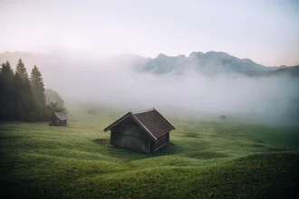 Morgendliche Alpenlandschaft mit sanften Nebelschwaden über einer Wiese