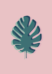 Frankie Kerr-Dineen, The Single Monstera (United Kingdom, Europe)