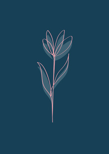 Frankie Kerr-Dineen, Bloom (United Kingdom, Europe)