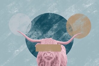 Sasha Lend, Bull Confidential (Niederlande, Europa)