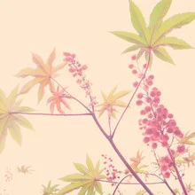 Photo art by Torsten Kupke: gentle autumn flowers in warm hues
