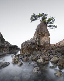 Ronny Behnert, Oita Tree Japan