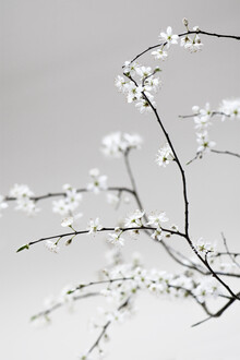 Studio Na.hili, Spring is in the Air