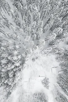 Fotokunst: ruhige Winterlandschaft mit schneebedeckten Bäumen und Wäldern