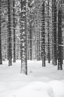 Deep Dark White Forest - fotokunst von Studio Na.hili