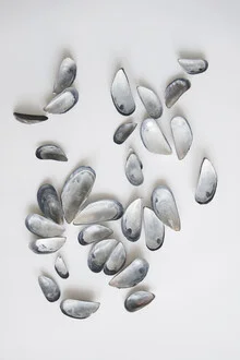 Fotokunst mit Muscheln: sanfte Farben und eleganter Minimalismus am Meer