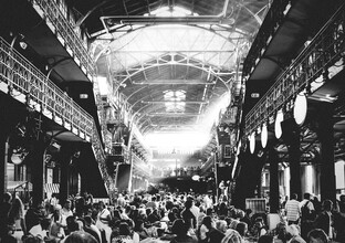 Pascal Genzel, Crowded Fischauktionshall in Hamburg - Germany, Europe)