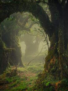 Anke Butawitsch, where fairies meet - Portugal, Europe)