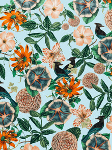 Uma Gokhale, Forest Birds
