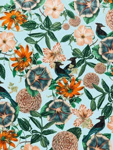 Illustration by Uma Gokhale: colorful birds in a lively forest
