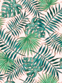 Illustration by Uma Gokhale: tropical plants with monstera and palm leaves
