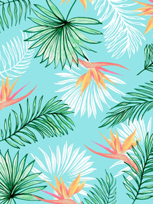 Uma Gokhale, Tropic Palm