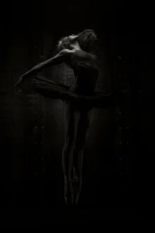 Ballerina Jump - fotokunst von Klaus Wegele