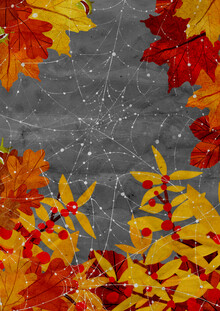 Katherine Blower, Cobwebs