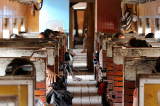 Michael Belhadi, Ordinary Class - Myanmar, Asia)
