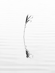 Holger Nimtz, stillness - Germany, Europe)