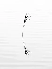stillness - fotokunst von Holger Nimtz