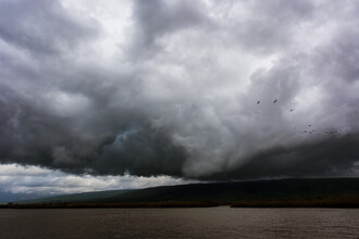 Tal Paz-fridman, The Hula Valley #1
