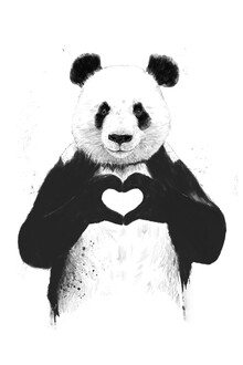 Balazs Solti, All you need is love - Hungary, Europe)